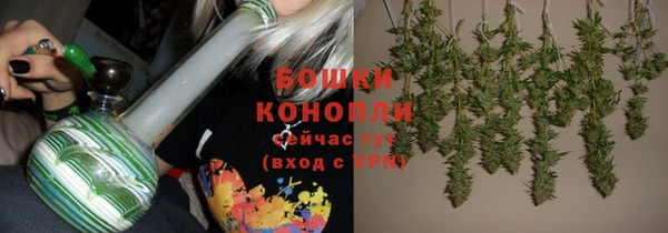 ГАЛЛЮЦИНОГЕННЫЕ ГРИБЫ Аркадак