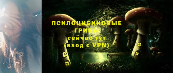 бошки Арсеньев