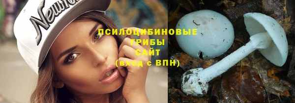 бошки Арсеньев