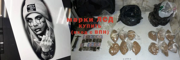 ГАЛЛЮЦИНОГЕННЫЕ ГРИБЫ Аркадак