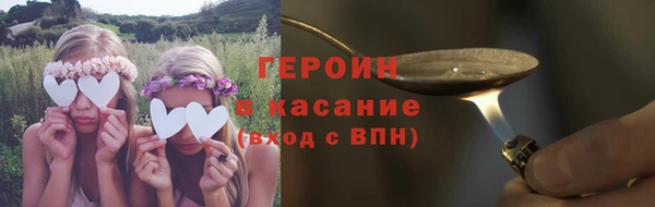ГАЛЛЮЦИНОГЕННЫЕ ГРИБЫ Аркадак