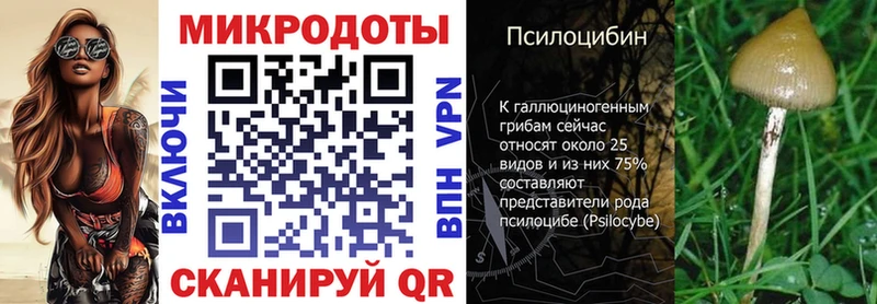 Галлюциногенные грибы Psilocybe Валдай