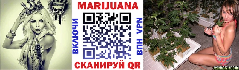 цены   Валдай  Каннабис индика 